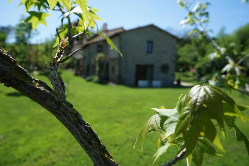 Castagna Dulcis