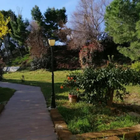 B&B le tamerici