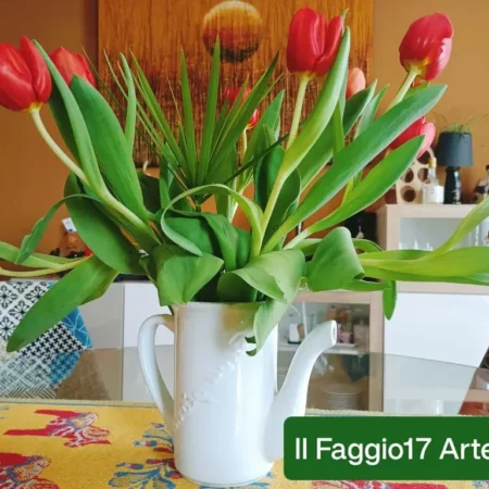 Il Faggio 17 B&B Artena