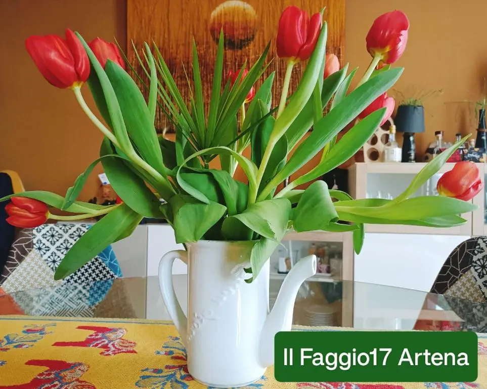 Il Faggio 17 B&B Artena