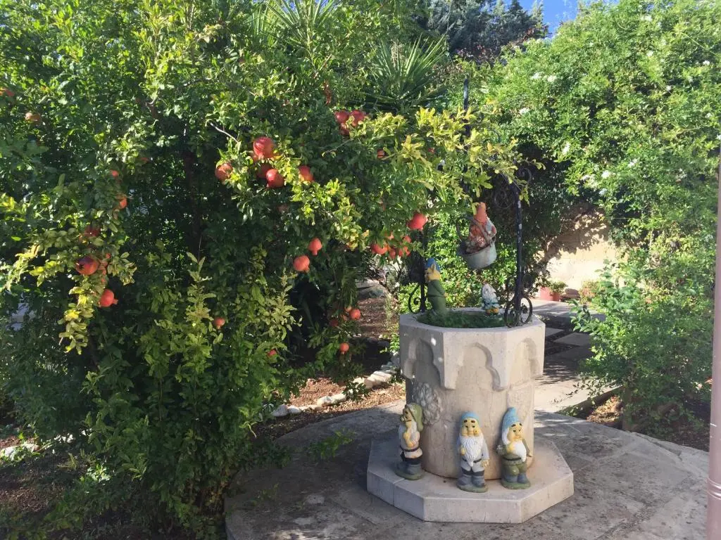 Il Giardino Della Foglia