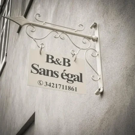 Sans egal