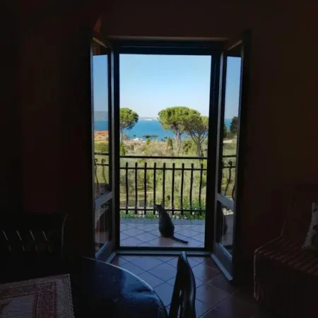 Casa Vacanze ANTICA VOLSINII