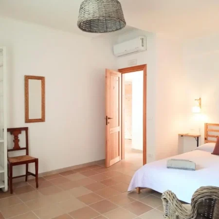 B&B LaLibellula