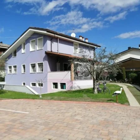 B&B Milu