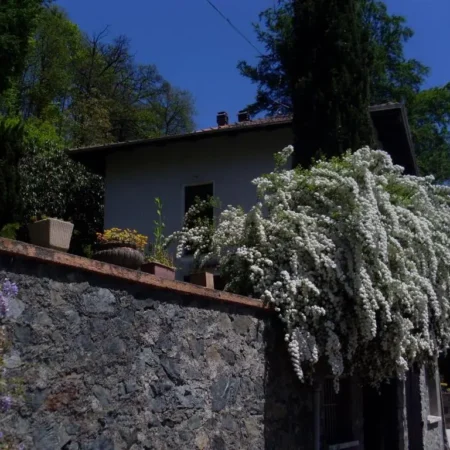 Ai 4 Gatti B&B