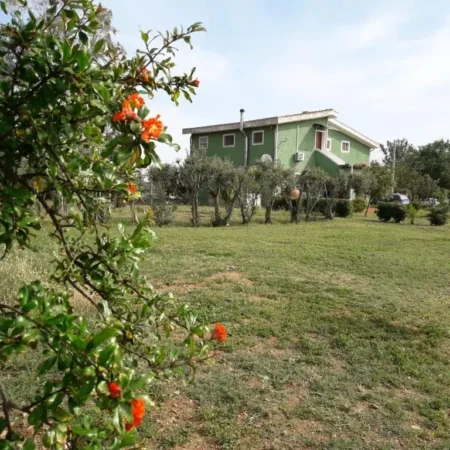 B&B Country House