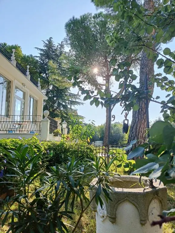 b&b RetroConero