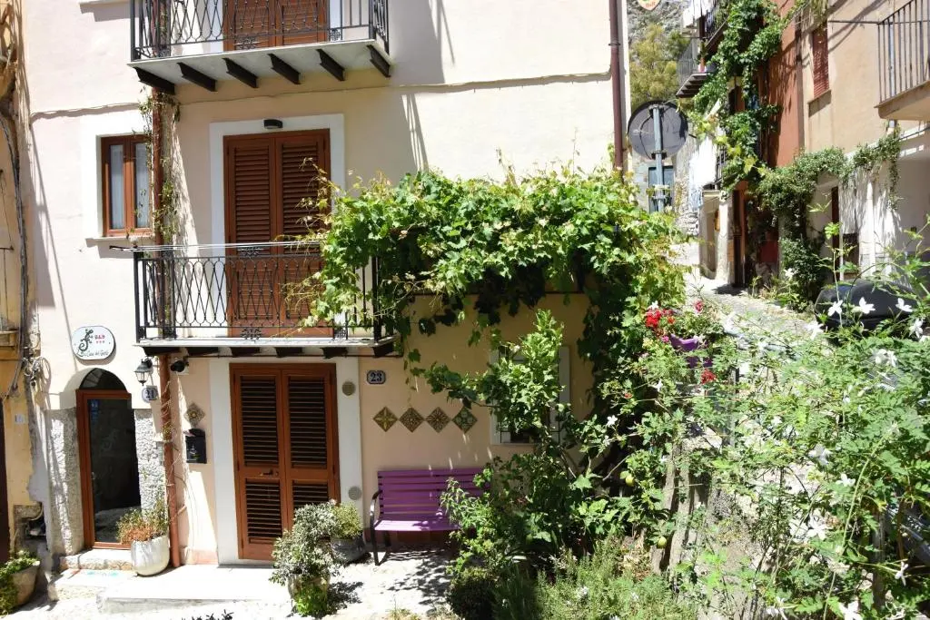 Casa del Geko