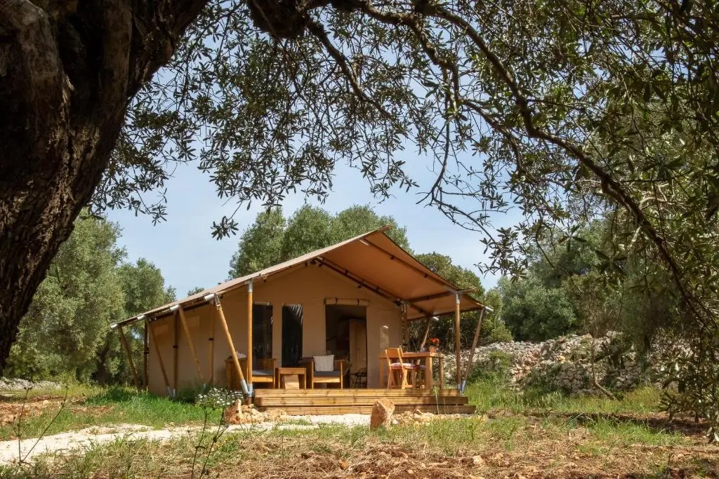 Domus Olea Glamping