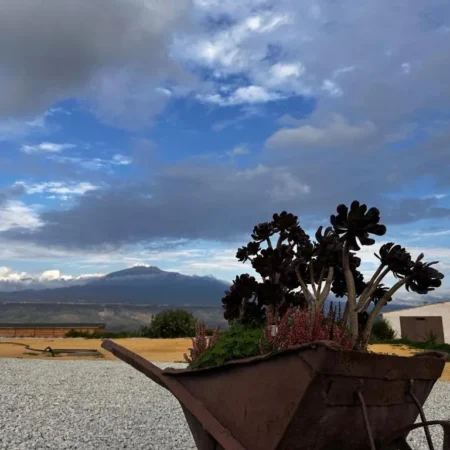 Agriturismo del Nonno.
