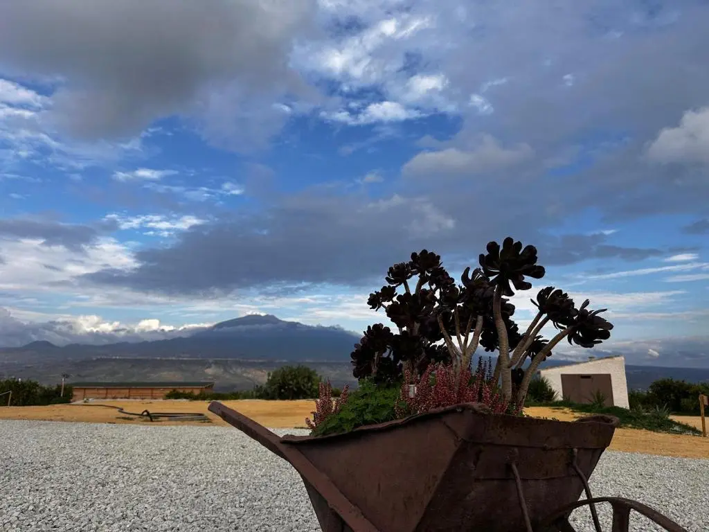 Agriturismo del Nonno.
