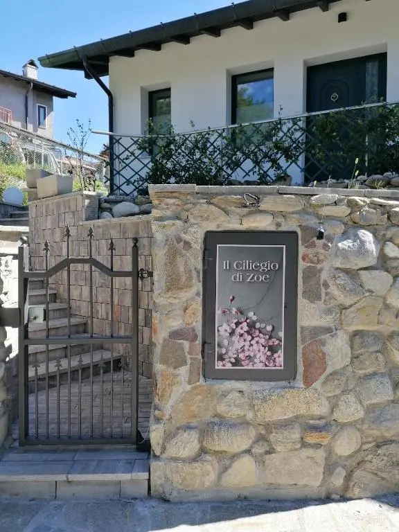 IL CILIEGIO DI ZOE