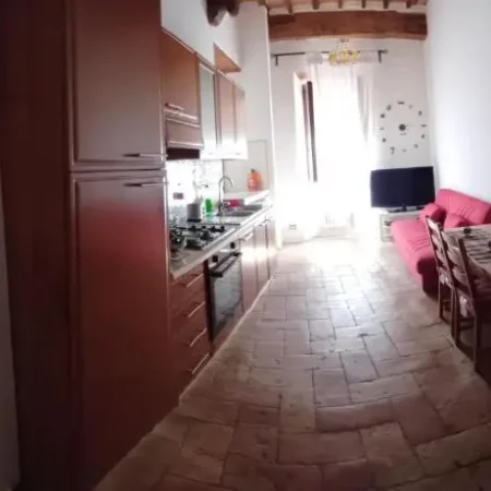 Casina 31