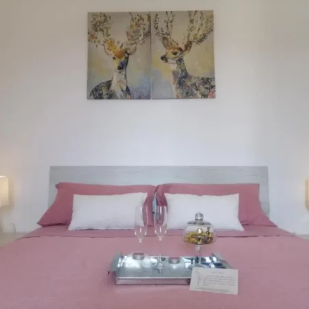 B&B Il Tulipano