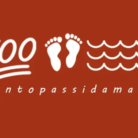 Centopassidamare