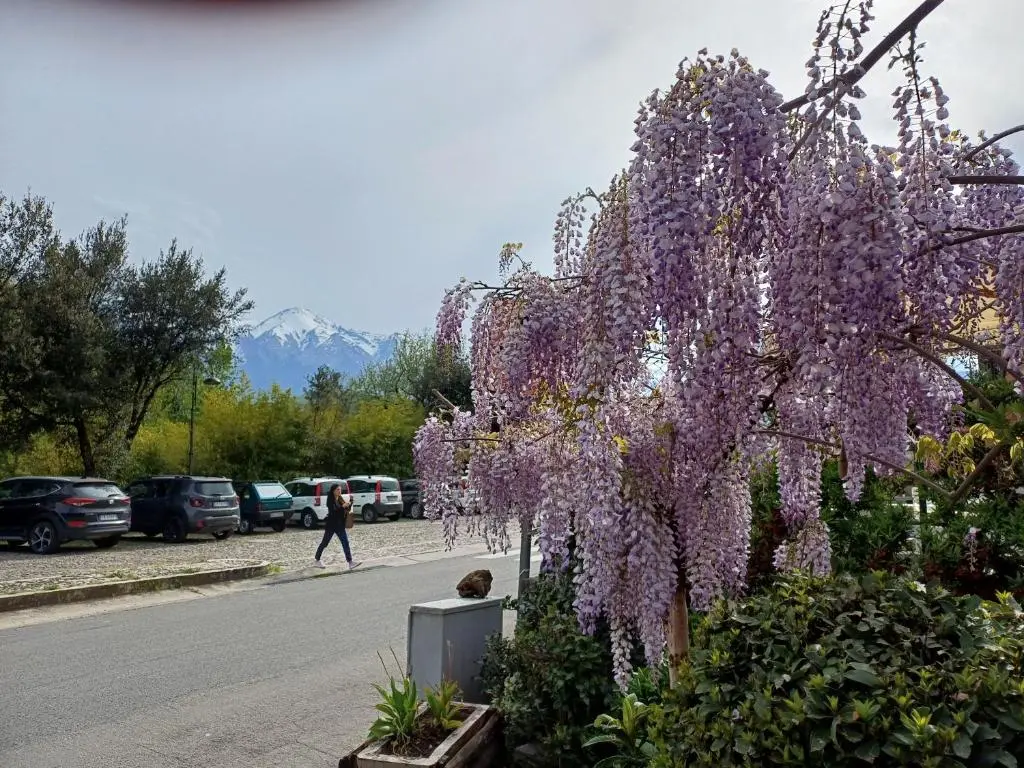 Agriturismo San Giovanni Ad Insulam
