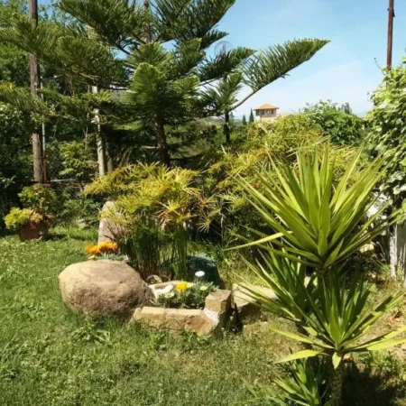 B&B Parco del Lago