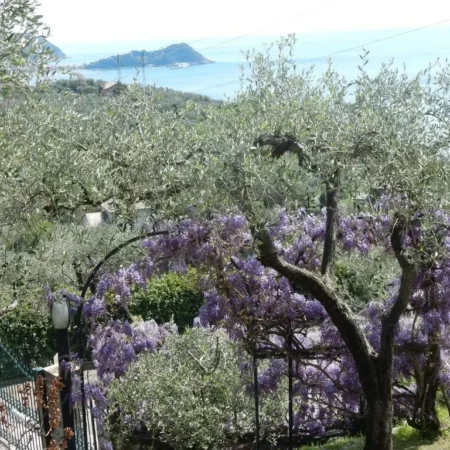 Villa vista mare
