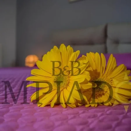 Limpiados Bed & Breakfast.