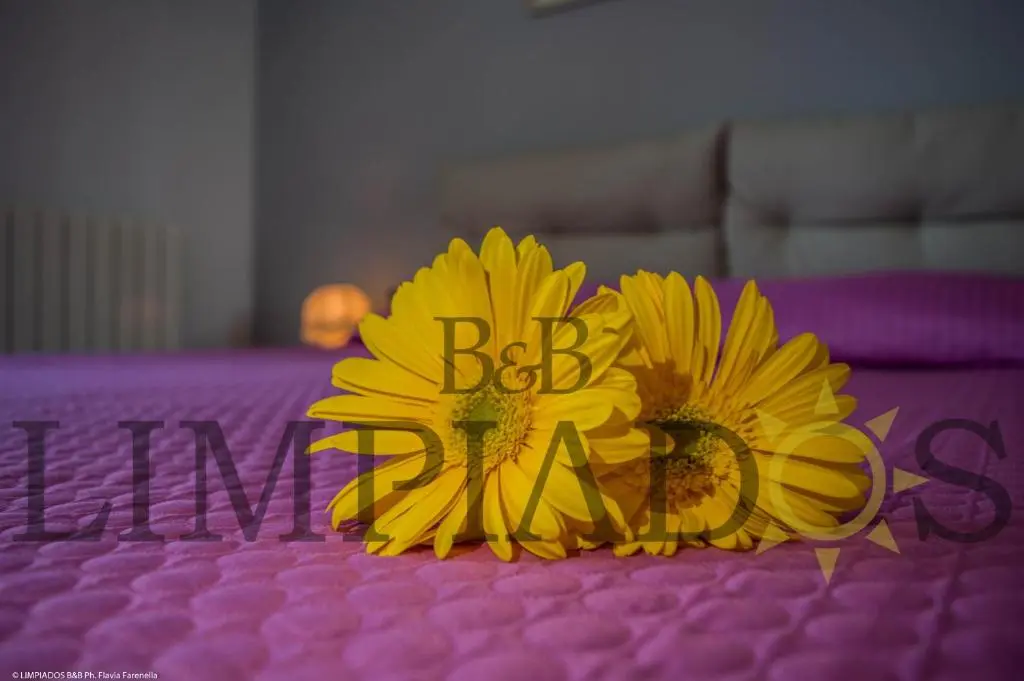 Limpiados Bed & Breakfast.