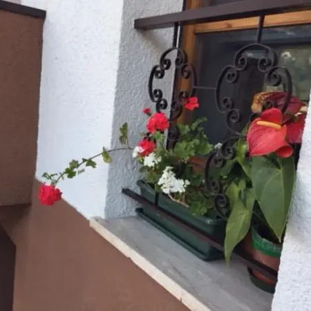 Casa Vacanze “Valentina”