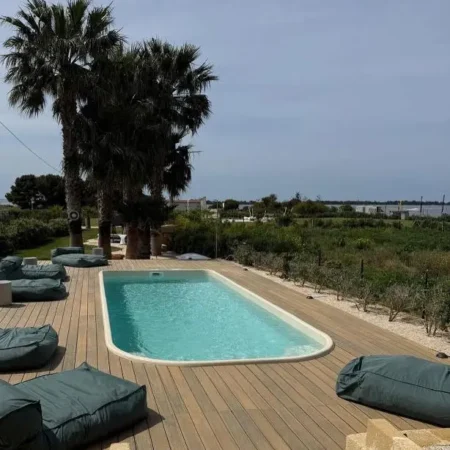 Palm Kite Paradise