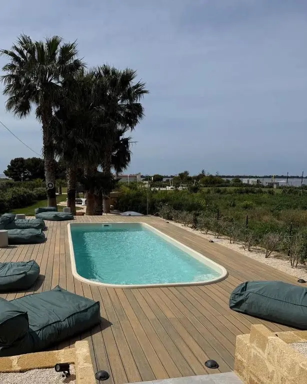 Palm Kite Paradise