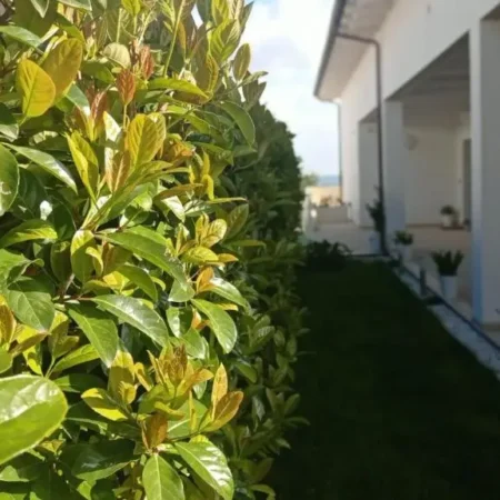Matera nel verde