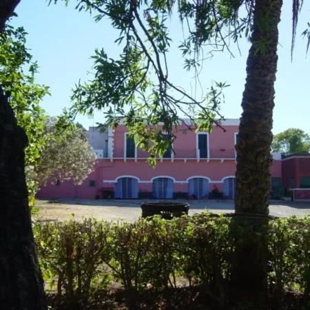 Tenuta ARGIANO
