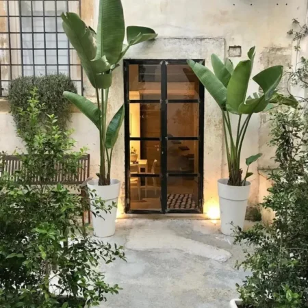 Casa Dahlia