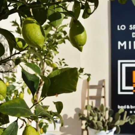 Lo spazio di Mima