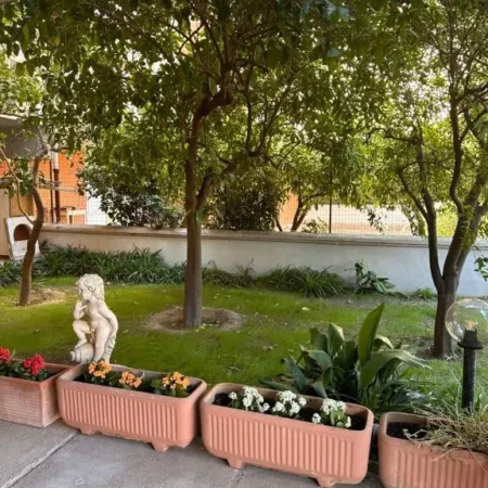 AjoAOlbia b&b