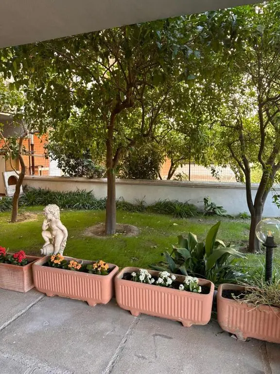 AjoAOlbia b&b