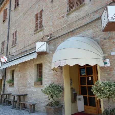 Il castagno
