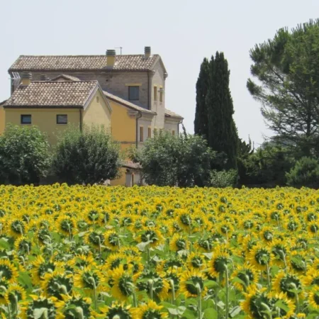 Alla Bigattiera