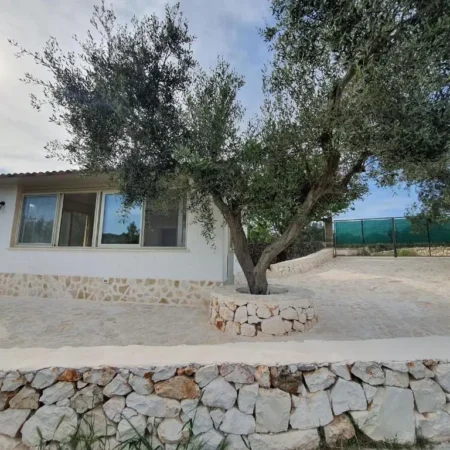 Lamia Giardino degli Ulivi