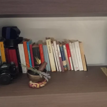 La casa delle Api