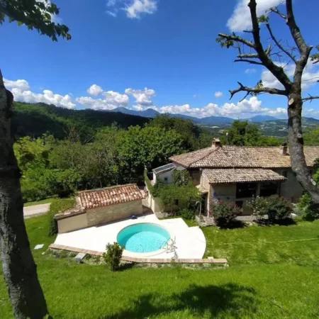 Casa Sponge