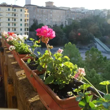 Alla Residenza Domus Minervae