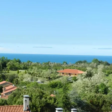 ColleMare