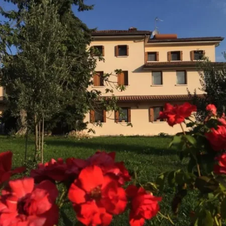 B&B Miro
