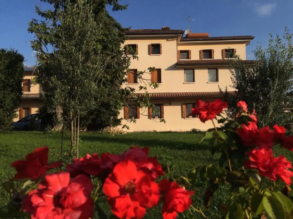 B&B Miro