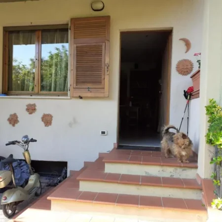 La casa di Berenice
