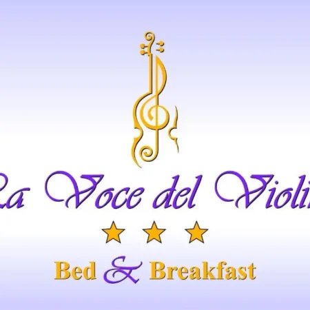 La Voce Del Violino