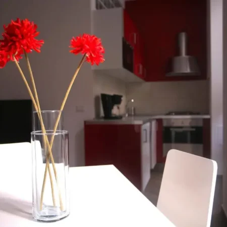 Red Flat in Rome
