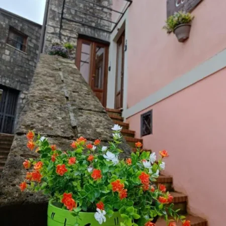 La casa di Amelia