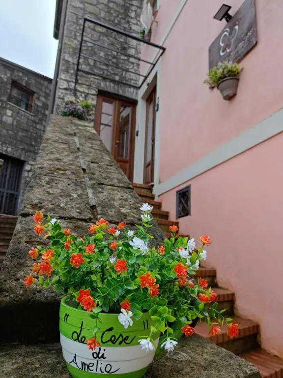La casa di Amelia
