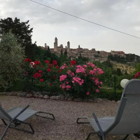 Il Colto