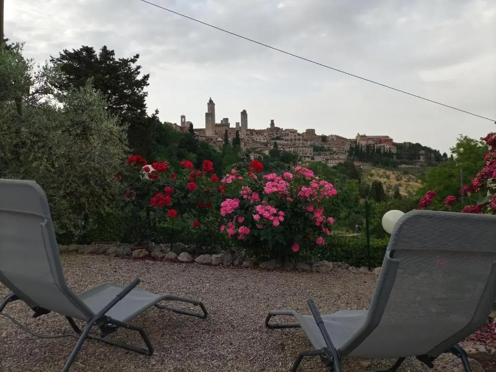 Il Colto